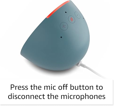 Amazon Echo Pop (newest model)